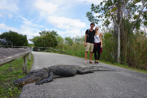 Foto 26.01.16 19 55 39