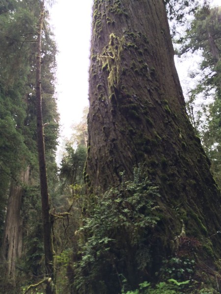 2016-03-24 11.42.10 HDR