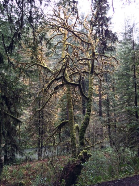 2016-03-24 12.09.26 HDR